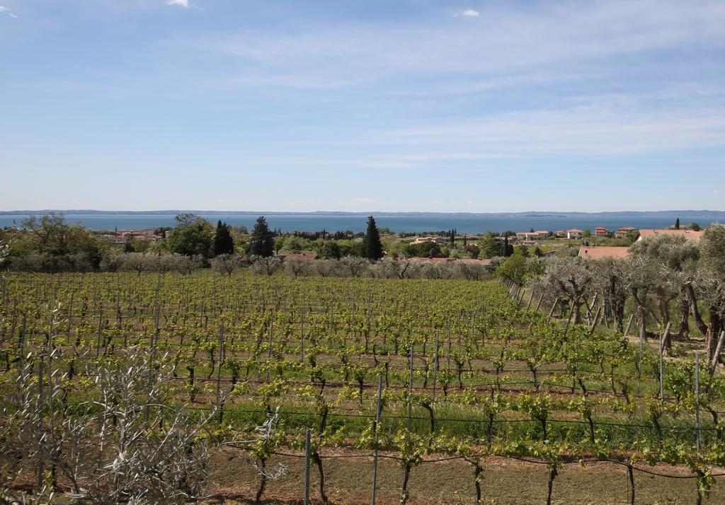 Appartamenti Bellavista バルドリーノ エクステリア 写真